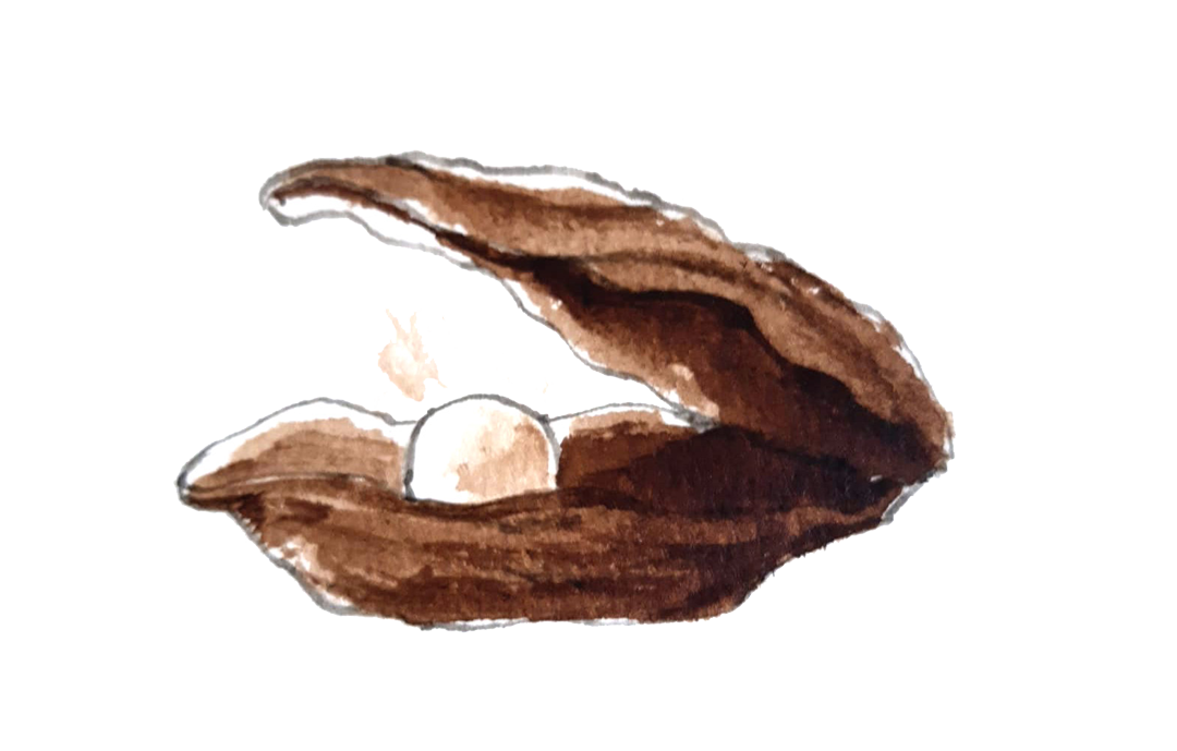 oester2